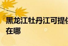 黑龍江牡丹江可提供東芝洗衣機維修服務地址在哪