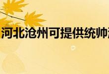 河北滄州可提供統(tǒng)帥洗衣機維修服務地址在哪