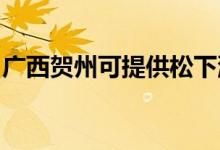 廣西賀州可提供松下洗衣機(jī)維修服務(wù)地址在哪