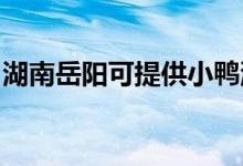 湖南岳陽可提供小鴨洗衣機(jī)維修服務(wù)地址在哪