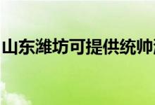 山東濰坊可提供統(tǒng)帥洗衣機維修服務地址在哪