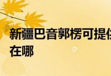 新疆巴音郭楞可提供威力洗衣機維修服務地址在哪
