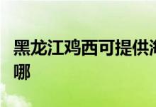 黑龍江雞西可提供海信洗衣機維修服務地址在哪