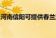 河南信陽(yáng)可提供春蘭洗衣機(jī)維修服務(wù)地址在哪
