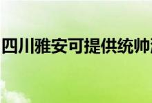 四川雅安可提供統(tǒng)帥洗衣機維修服務地址在哪