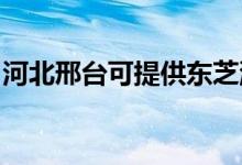 河北邢臺可提供東芝洗衣機維修服務地址在哪