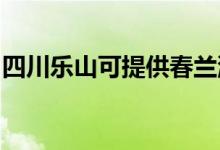 四川樂(lè)山可提供春蘭洗衣機(jī)維修服務(wù)地址在哪