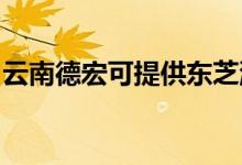 云南德宏可提供東芝洗衣機維修服務地址在哪
