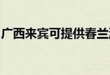 廣西來(lái)賓可提供春蘭洗衣機(jī)維修服務(wù)地址在哪