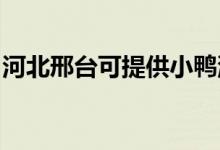 河北邢臺可提供小鴨洗衣機(jī)維修服務(wù)地址在哪