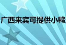 廣西來賓可提供小鴨洗衣機(jī)維修服務(wù)地址在哪