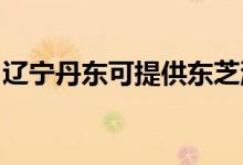 遼寧丹東可提供東芝洗衣機維修服務地址在哪
