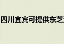 四川宜賓可提供東芝洗衣機維修服務地址在哪
