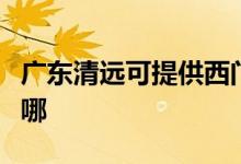 廣東清遠(yuǎn)可提供西門子洗衣機(jī)維修服務(wù)地址在哪