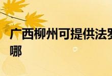 廣西柳州可提供法羅力壁掛爐維修服務地址在哪