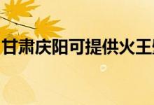 甘肅慶陽可提供火王壁掛爐維修服務(wù)地址在哪
