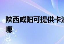 陜西咸陽(yáng)可提供卡洛力壁掛爐維修服務(wù)地址在哪