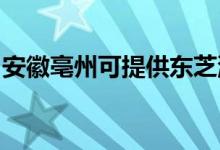 安徽亳州可提供東芝洗碗機維修服務(wù)地址在哪
