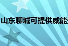 山東聊城可提供威能壁掛爐維修服務地址在哪