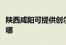 陜西咸陽(yáng)可提供創(chuàng)爾特壁掛爐維修服務(wù)地址在哪