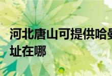河北唐山可提供哈曼卡頓家庭影院維修服務(wù)地址在哪