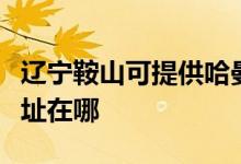 遼寧鞍山可提供哈曼卡頓家庭影院維修服務(wù)地址在哪
