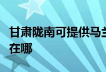 甘肅隴南可提供馬蘭士家庭影院維修服務地址在哪