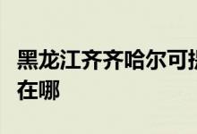 黑龍江齊齊哈爾可提供天龍音響維修服務(wù)地址在哪