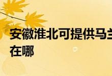 安徽淮北可提供馬蘭士家庭影院維修服務地址在哪