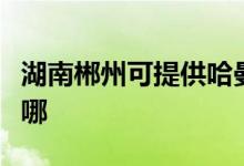 湖南郴州可提供哈曼卡頓音響維修服務(wù)地址在哪