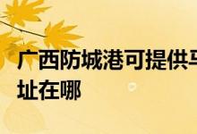 廣西防城港可提供馬蘭士家庭影院維修服務地址在哪