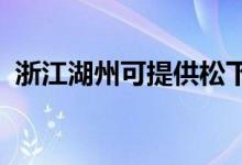 浙江湖州可提供松下音響維修服務(wù)地址在哪