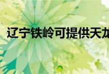 遼寧鐵嶺可提供天龍音響維修服務(wù)地址在哪