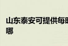 山東泰安可提供每時(shí)樂微波爐維修服務(wù)地址在哪