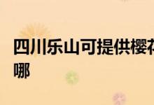 四川樂山可提供櫻花抽油煙機維修服務地址在哪
