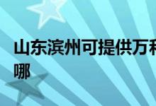 山東濱州可提供萬和抽油煙機維修服務(wù)地址在哪