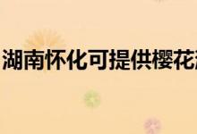 湖南懷化可提供櫻花消毒柜維修服務(wù)地址在哪