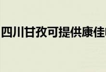 四川甘孜可提供康佳電磁爐維修服務地址在哪