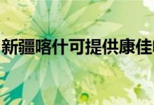 新疆喀什可提供康佳電磁爐維修服務地址在哪