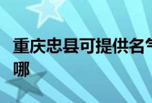 重慶忠縣可提供名氣抽油煙機維修服務地址在哪