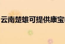 云南楚雄可提供康寶電磁爐維修服務(wù)地址在哪