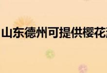 山東德州可提供櫻花消毒柜維修服務(wù)地址在哪