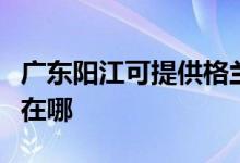 廣東陽江可提供格蘭仕抽油煙機(jī)維修服務(wù)地址在哪