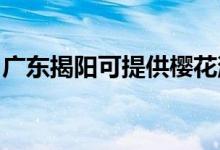 廣東揭陽可提供櫻花消毒柜維修服務(wù)地址在哪