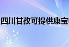 四川甘孜可提供康寶電磁爐維修服務(wù)地址在哪
