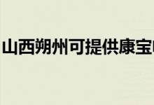 山西朔州可提供康寶電磁爐維修服務(wù)地址在哪