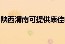 陜西渭南可提供康佳電飯煲維修服務(wù)地址在哪