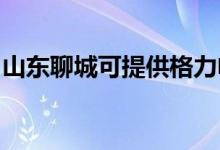 山東聊城可提供格力電飯煲維修服務(wù)地址在哪