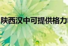 陜西漢中可提供格力電飯煲維修服務(wù)地址在哪