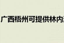 廣西梧州可提供林內(nèi)消毒柜維修服務(wù)地址在哪